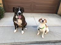 Original reference photo