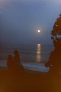 Original reference photo