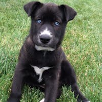 Original reference photo