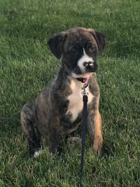 Original reference photo