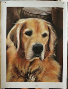 Oil portrait of an old dog sitting