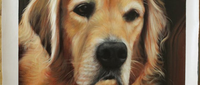 Oil portrait of an old dog sitting