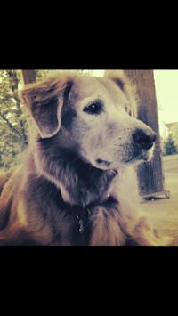 Original reference photo