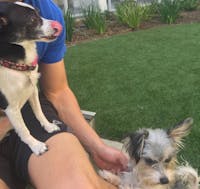 Original reference photo