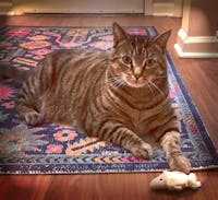 Original reference photo