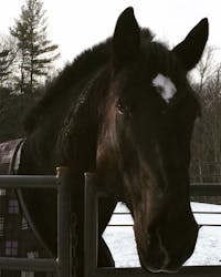 Original reference photo