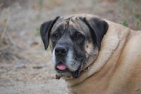 Original reference photo