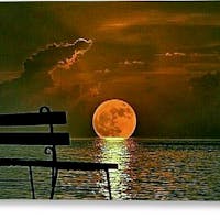 Original reference photo