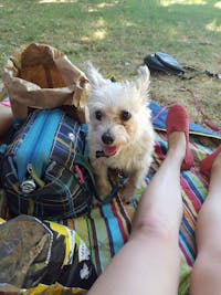 Original reference photo