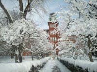 Original reference photo