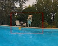 Original reference photo