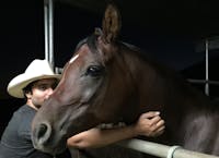 Original reference photo