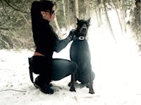 Original reference photo