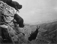 Original reference photo