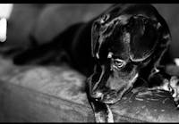 Original reference photo