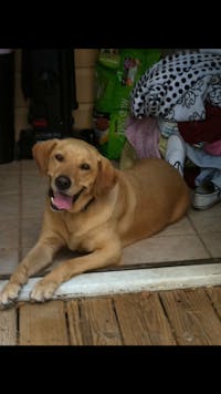 Original reference photo