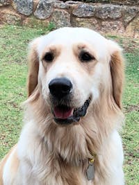 Original reference photo