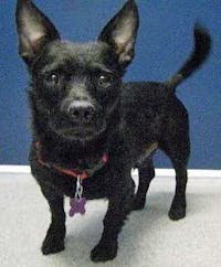 Original reference photo