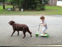 Original reference photo