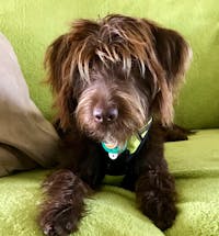 Original reference photo