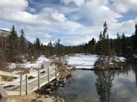 Original reference photo