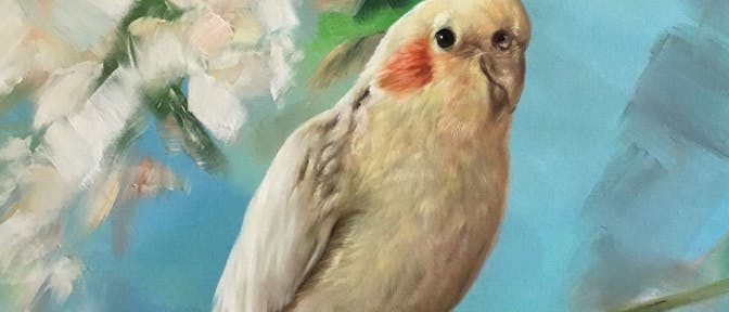 A colorful parrot on a twig painted in oil