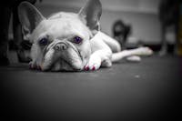 Original reference photo