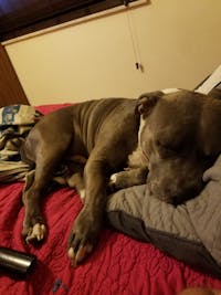 Original reference photo