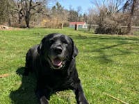 Original reference photo