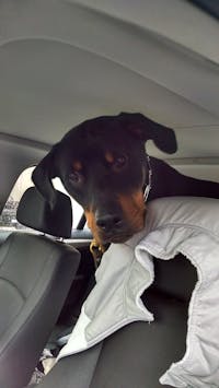 Original reference photo