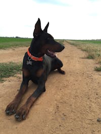 Original reference photo