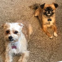 Original reference photo