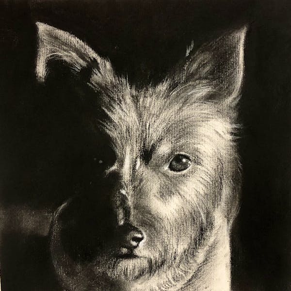 Charcoal Drawing From Photo Custom Hand Drawn Charcoal Art Instapainting Com