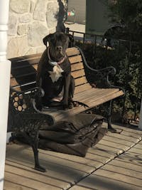 Original reference photo