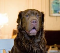 Original reference photo