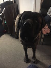 Original reference photo