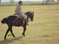 Original reference photo