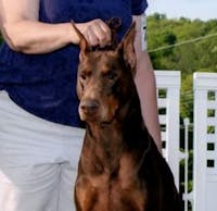 Original reference photo