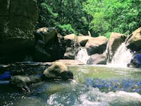 Original reference photo