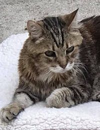 Original reference photo