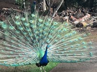 Original reference photo