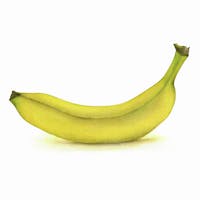 Original reference photo