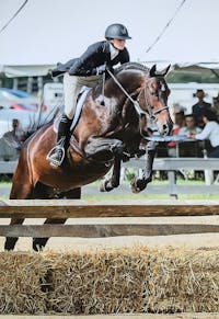 Original reference photo