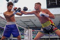 Original reference photo