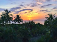 Original reference photo