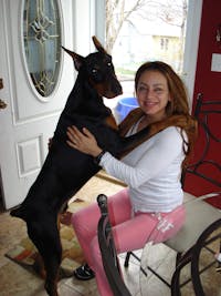 Original reference photo