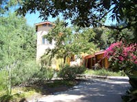 Original reference photo