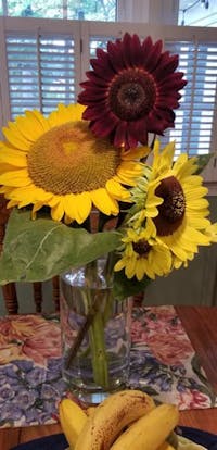 Original reference photo