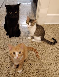 Original reference photo