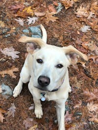 Original reference photo